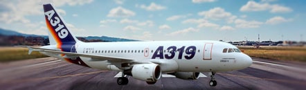 Аренда самолета A319 Airbus A319 Airbus